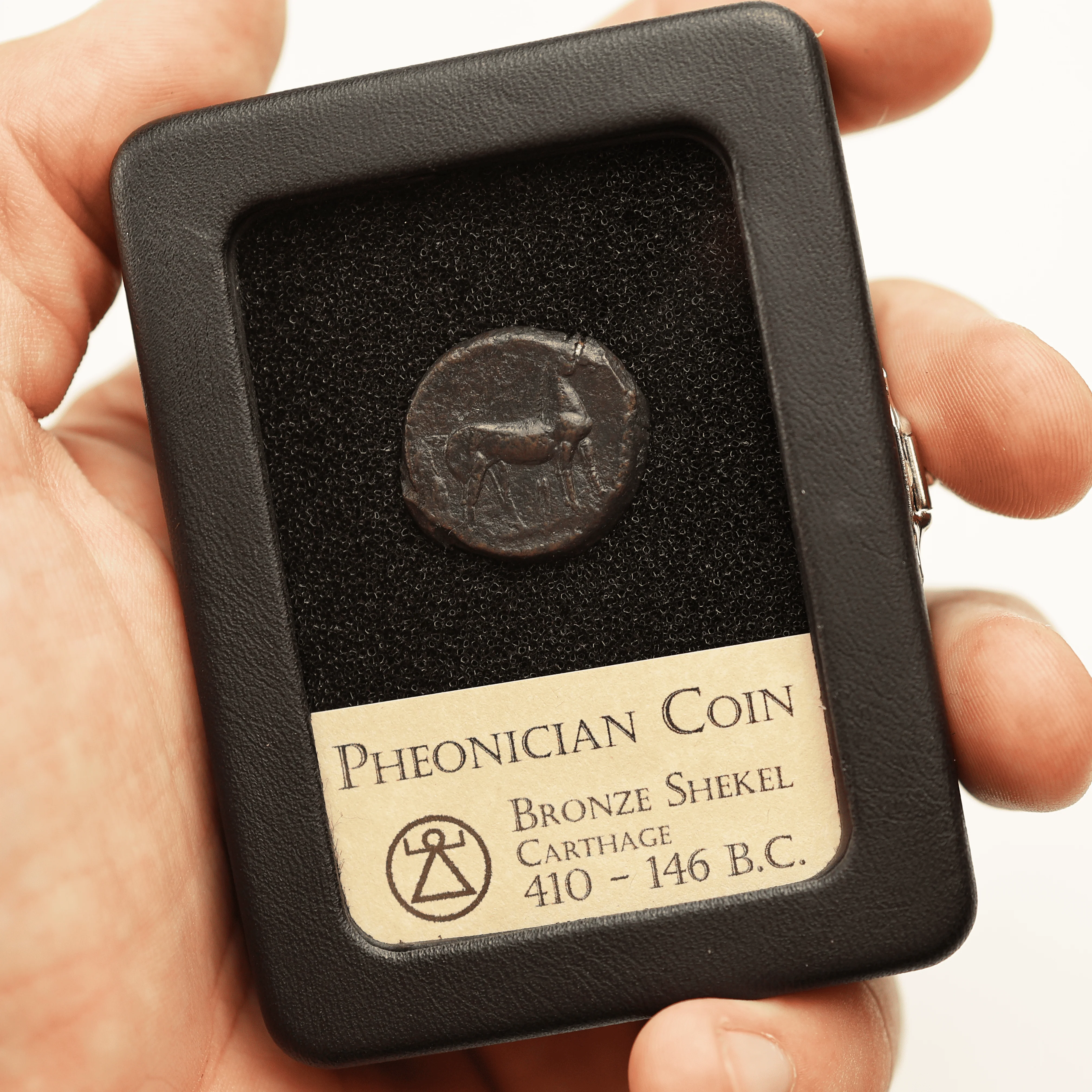 Carthaginian Coin | Bronze Shekel - Image 4